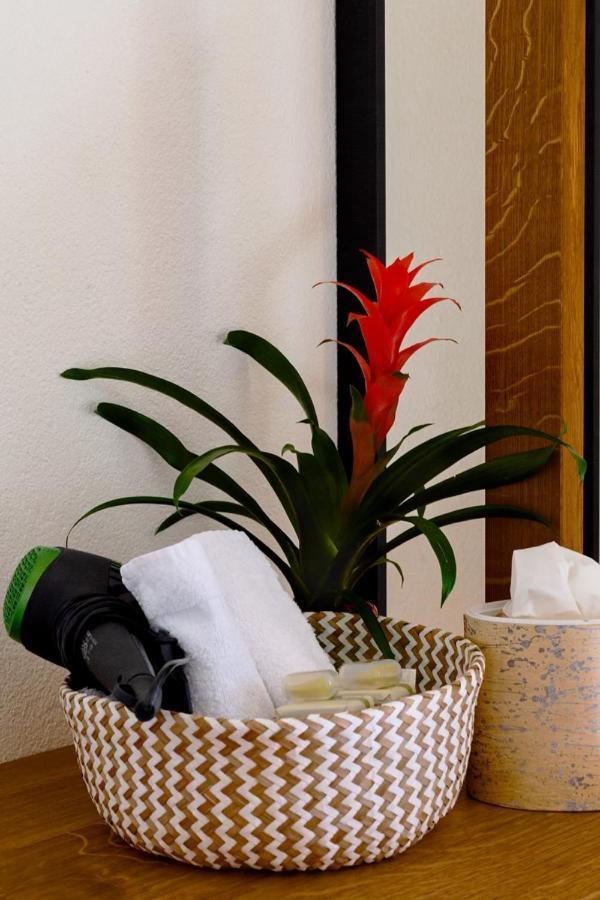 Boutique-Hotel Antica Posta 阿斯科纳 外观 照片
